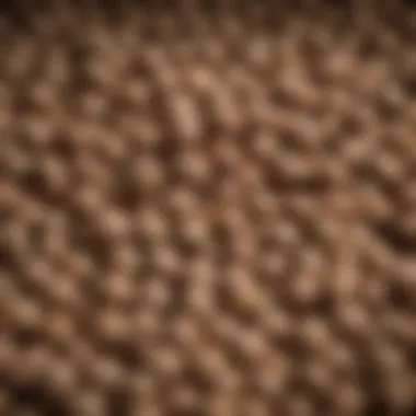 Key Ingredients in Prescription Dog Food Close-up of key ingredients in prescription dog food