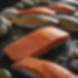 A vibrant display of various salmon species showcasing their unique colors and textures.