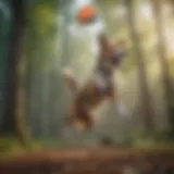 A dynamic shot of a dog catching a hyper frisbee in mid-air