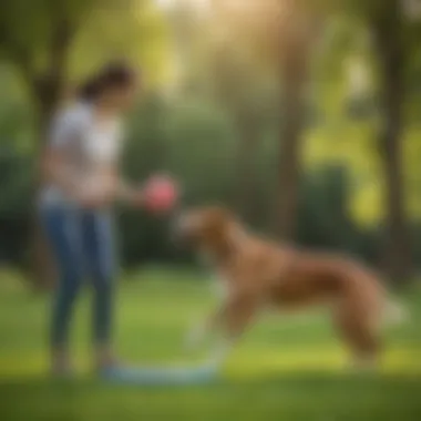 Owner and Dog Bonding Over Frisbee A joyful scene of a dog and owner playing together with a hyper frisbee in a park