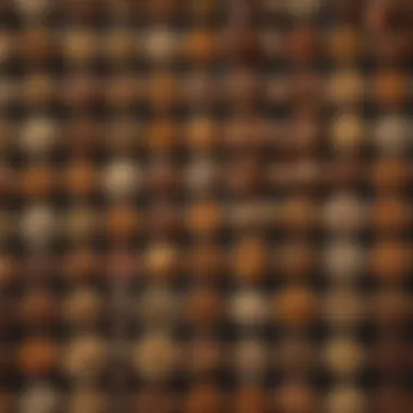 Premium Dog Food Brands A diverse range of premium dog food brands displayed
