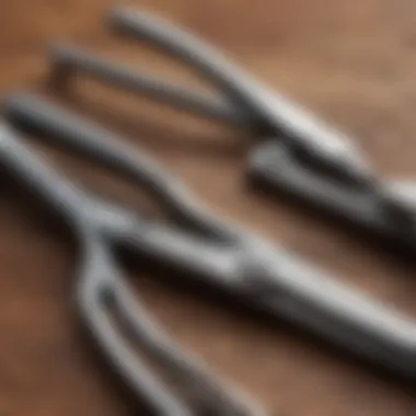 Precision in Dog Grooming Scissors Close-up of a pair of professional dog scissors highlighting the sharp edges and ergonomic design.