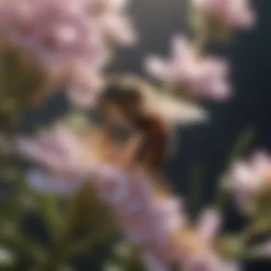 Bee Pollinating Blossoming Flowers A close-up of a bee pollinating a flower