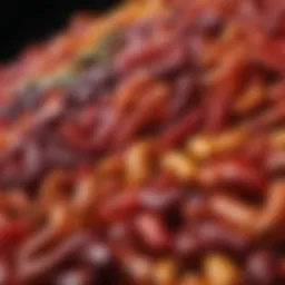 Vibrant assortment of Takis showcasing different flavors