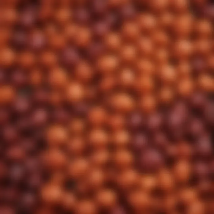 Map illustrating regional variations of Takis flavors