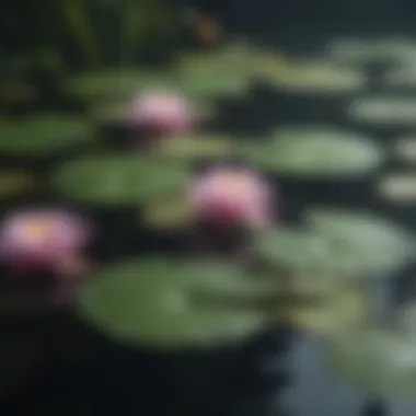 Cultural Representation of Water Lilies A traditional painting depicting water lilies in a cultural context
