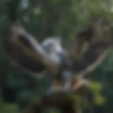 A majestic Harpy Eagle in flight, displaying its powerful wings and distinctive features.