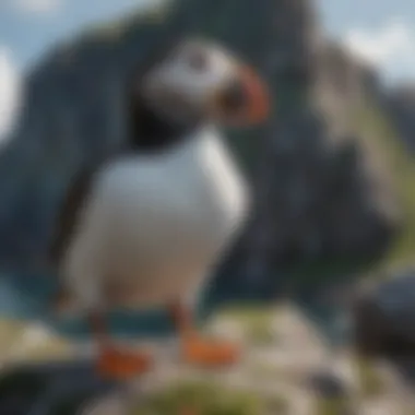 A playful Puffin standing on a rocky cliff, revealing its comical appearance and habitat.