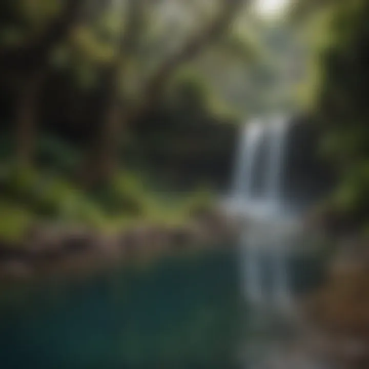 A tranquil pool at the base of a waterfall with surrounding lush vegetation in Maui.