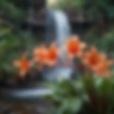 Close-up of vibrant tropical flowers near a serene waterfall in Maui.