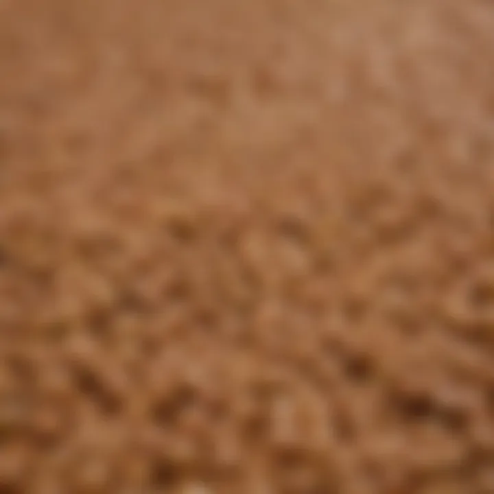 Close-up of a creamy wet cat food texture.