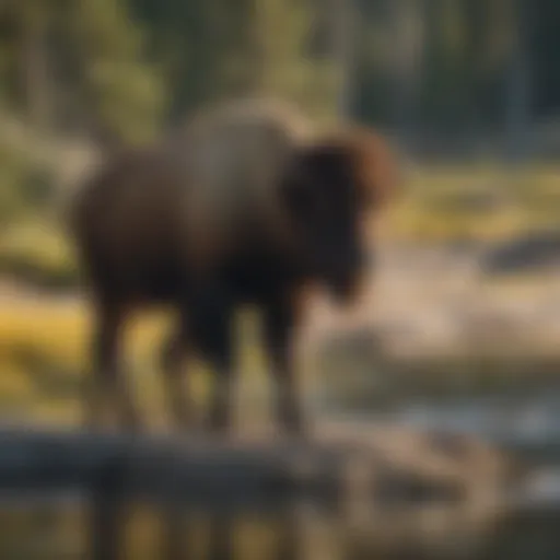 A serene landscape of Yellowstone National Park showcasing diverse wildlife.