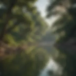 A serene lakeside view with lush greenery and clear waters