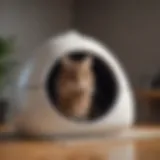 A spacious hooded litter box designed for large cats with ample entry space.