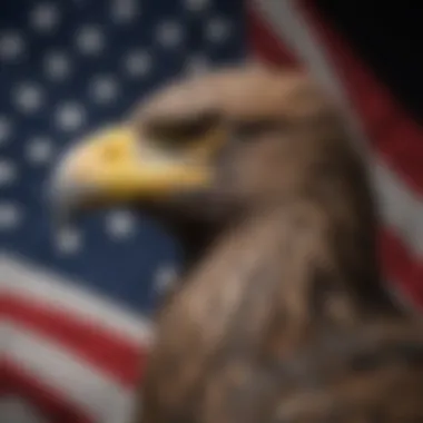 Historic Significance of the United States Army Flag United States Army flag with eagle emblem