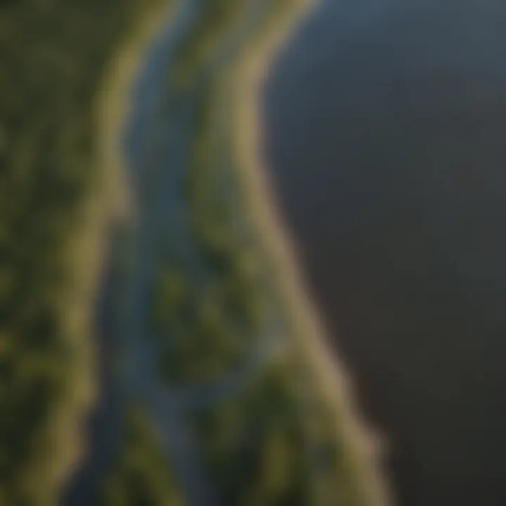 Aerial view showcasing the meandering paths of the Mississippi River