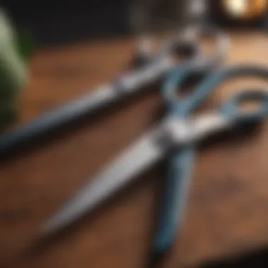 Essential maintenance tools for dog grooming scissors, including oil and cloth.