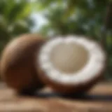 Different varieties of coconut nuts