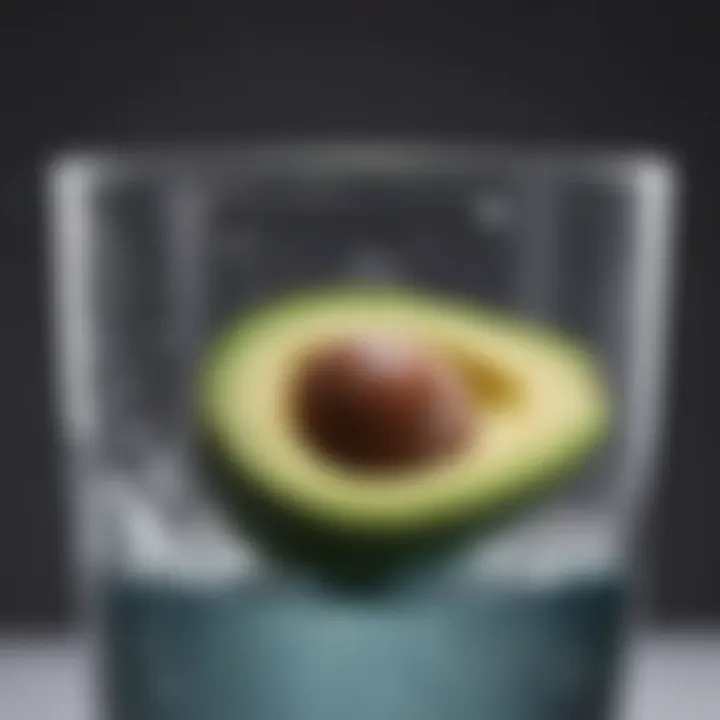 Avocado pit placed in a glass of water for germination