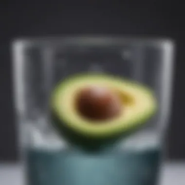 Germination Method for Avocado Pit Avocado pit placed in a glass of water for germination