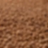 Close-up of Iams Sensitive Skin and Stomach Dog Food kibble showcasing its unique texture.