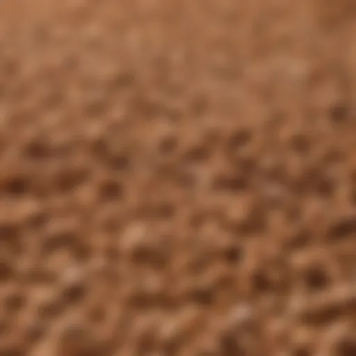 Close-up of Iams Sensitive Skin and Stomach Dog Food kibble showcasing its unique texture.