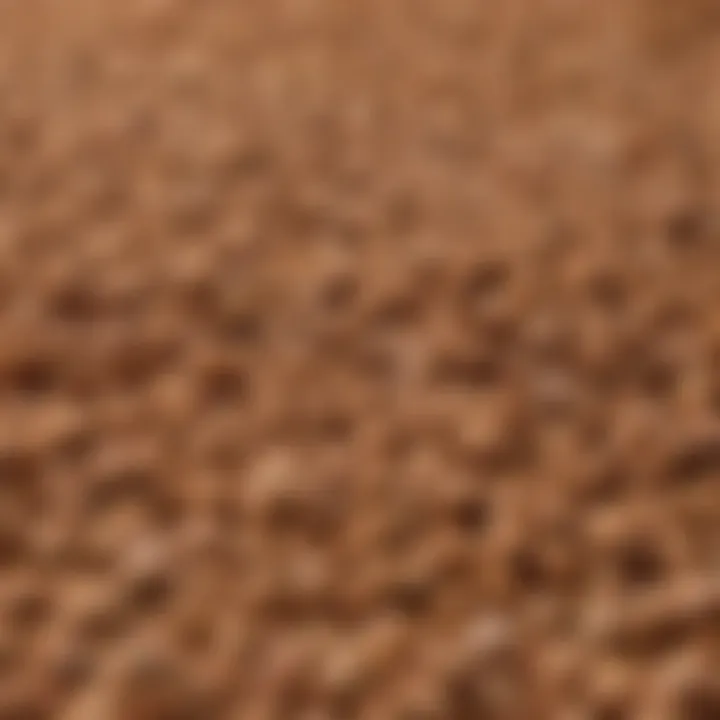 Close-up of Iams Sensitive Skin and Stomach Dog Food kibble showcasing its unique texture.