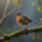 A close-up of a bird perched on a branch, singing its unique song.