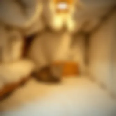 Interior view showcasing insulation features of a cat warming house