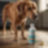 Liquid Vet hip and joint supplement bottle with a dog in the background