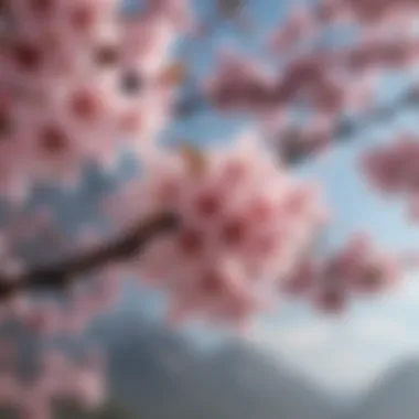 Cherry Blossom Care Essentials Cherry blossom tree care essentials