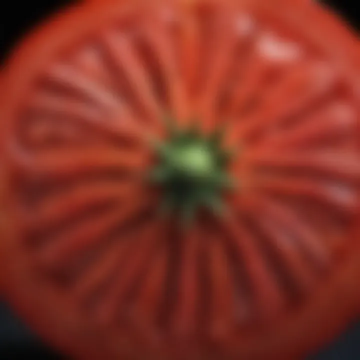 Close-up of a Red Beefsteak Heirloom Tomato revealing its juicy interior