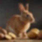 Nutritional analysis of Royal Canin Rabbit and Potato dog food