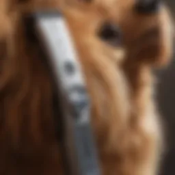 Close-up of dog clippers designed for thick fur