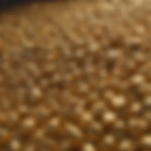 Close-up of Solid Gold Leaping Waters dog food kibble