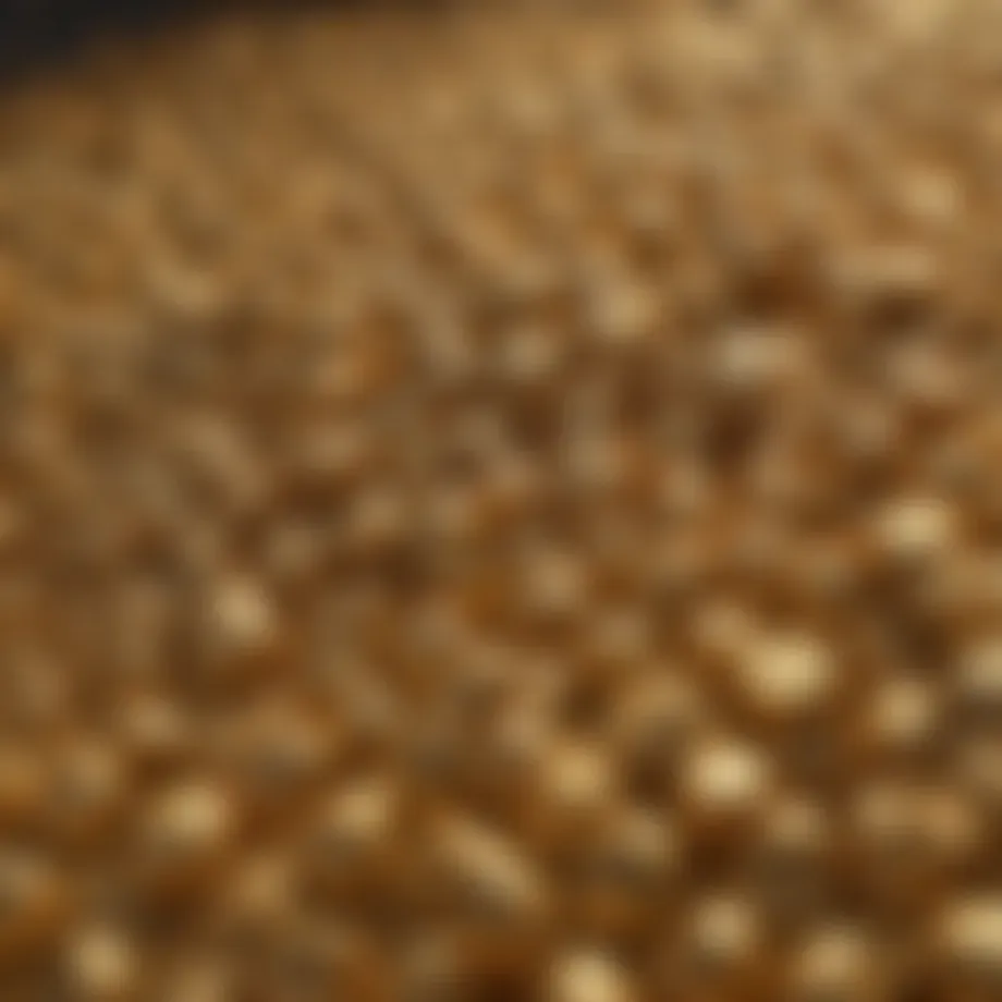 Close-up of Solid Gold Leaping Waters dog food kibble