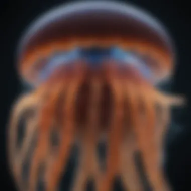 Close-up of the tentacles of the man of war jellyfish, highlighting their intricate structure and bioluminescence.