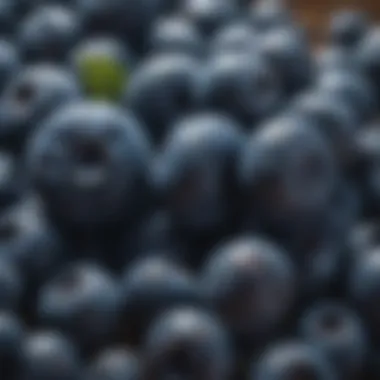 Nutrient-Rich Superfood Close-up of blueberries showcasing their vibrant color and texture