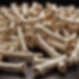 A close-up view of various artificial dog bones made from different materials.