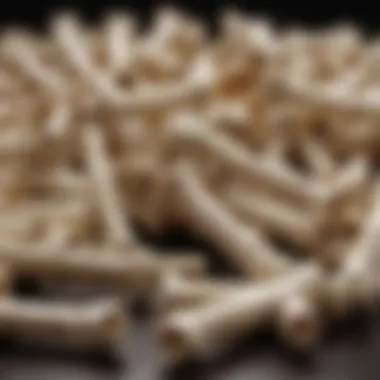 A close-up view of various artificial dog bones made from different materials.