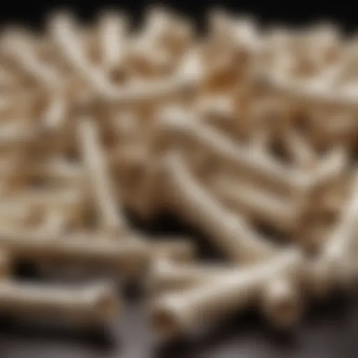 A close-up view of various artificial dog bones made from different materials.