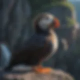 Tufted puffin resting on a cliff edge