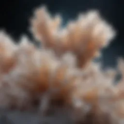 A close-up view of salt crystals demonstrating their structure.