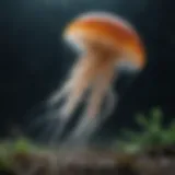 A vibrant underwater scene showcasing a jellyfish in motion