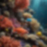 A vibrant coral reef teeming with colorful fish species.