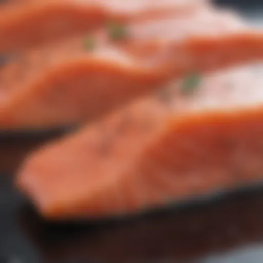 Fresh raw salmon fillet suitable for dog feeding