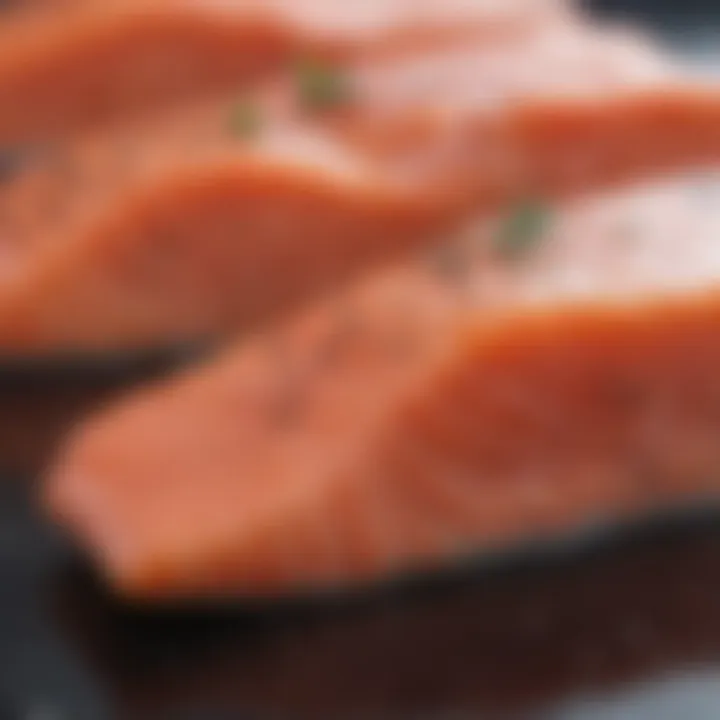 Fresh raw salmon fillet suitable for dog feeding