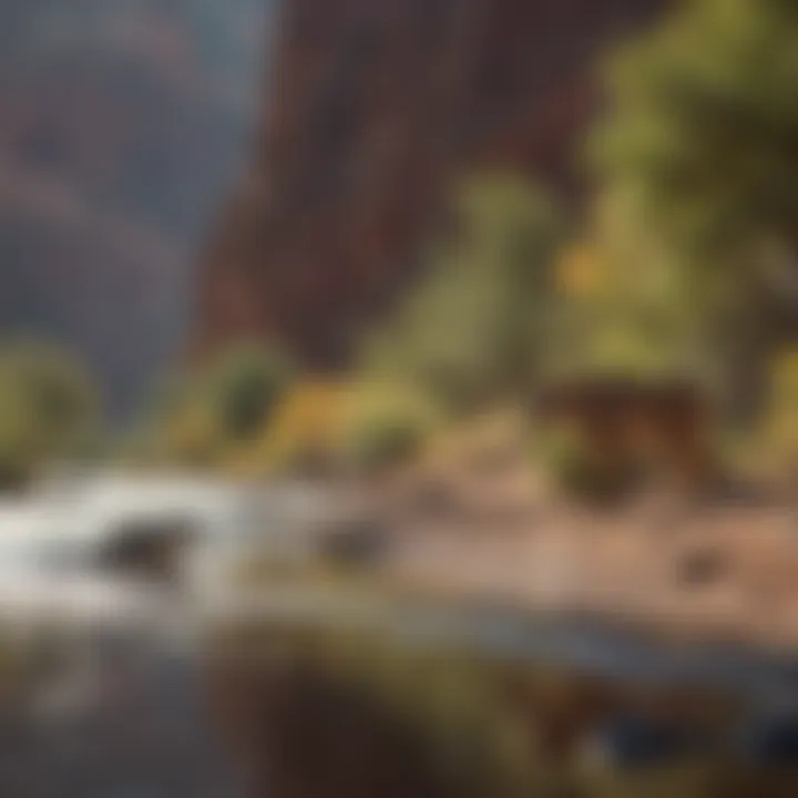 Natural wildlife thriving along the riverbank of the Grand Canyon