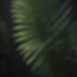Detailed view of small palm leaves highlighting their unique anatomy