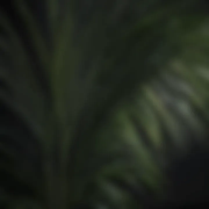 Small palm leaves integrated into traditional cultural practices